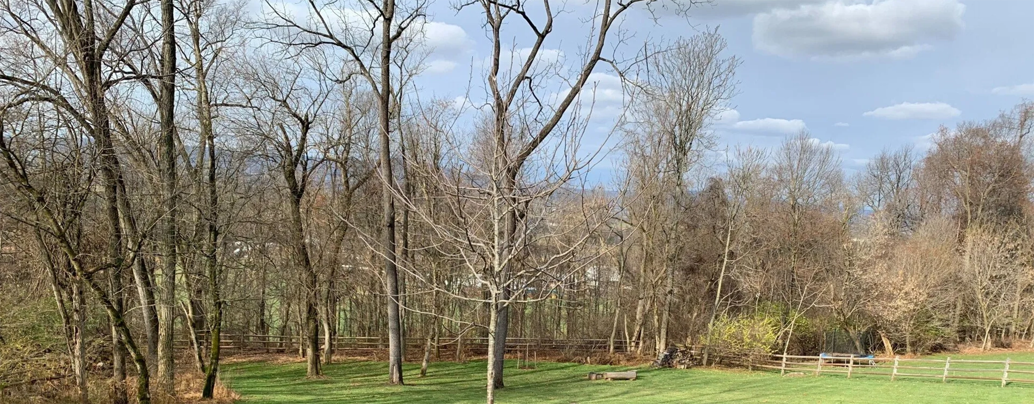 Image 0006